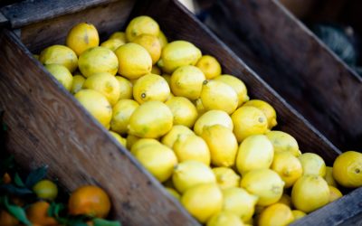 Learn How To Preserve Your Lemons