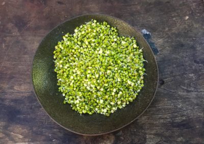 Sprouted Mung Beans