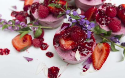 Raw Vegan Berry Cheese Tart Drizzled with Raspberry Coulis